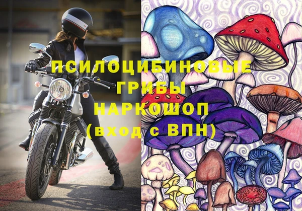 ПСИЛОЦИБИНОВЫЕ ГРИБЫ Богородицк