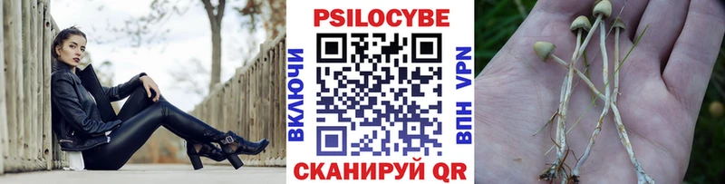 Псилоцибиновые грибы GOLDEN TEACHER  Невель 